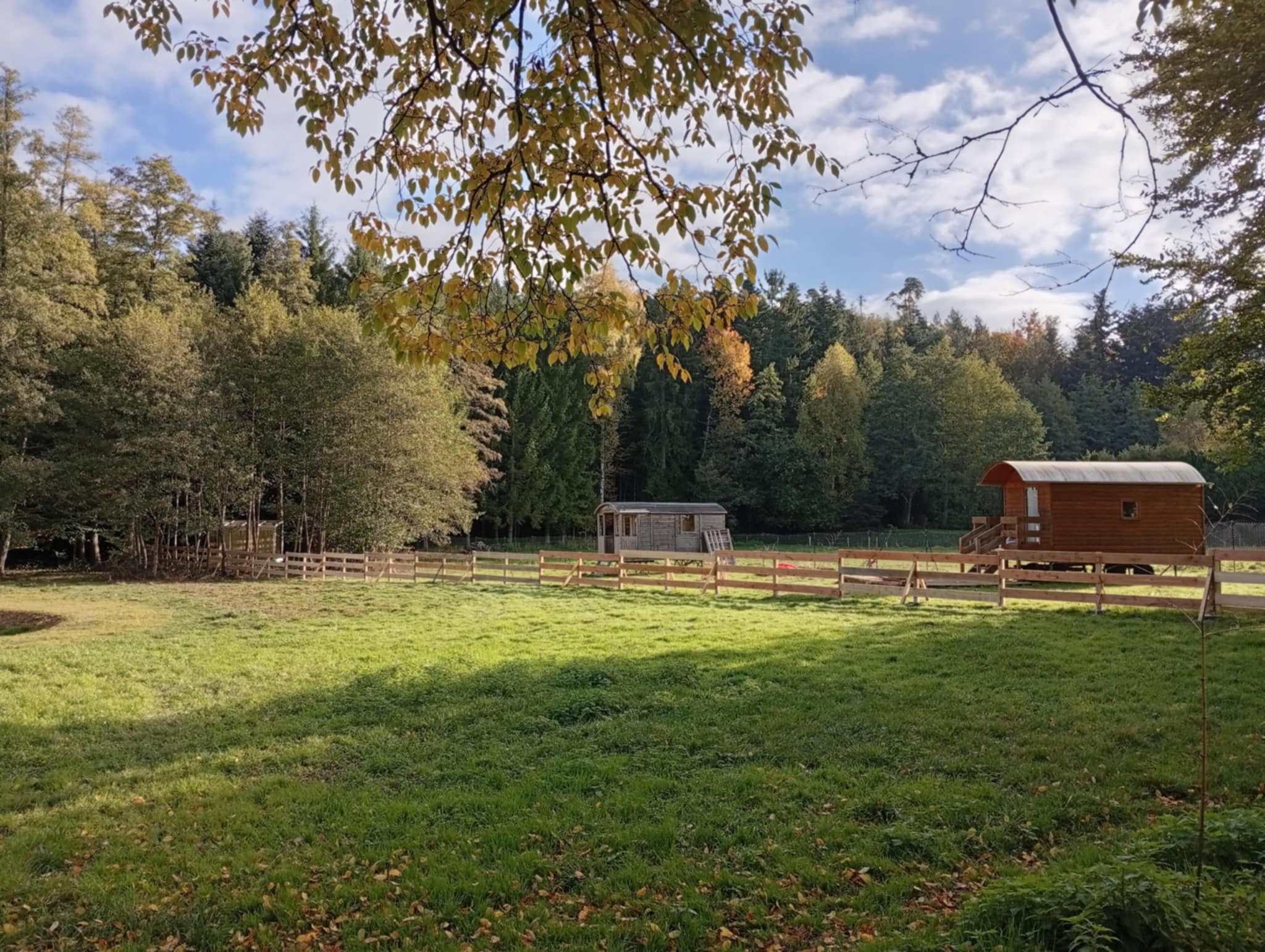 PHOTO-2026-01-23-09-01-31