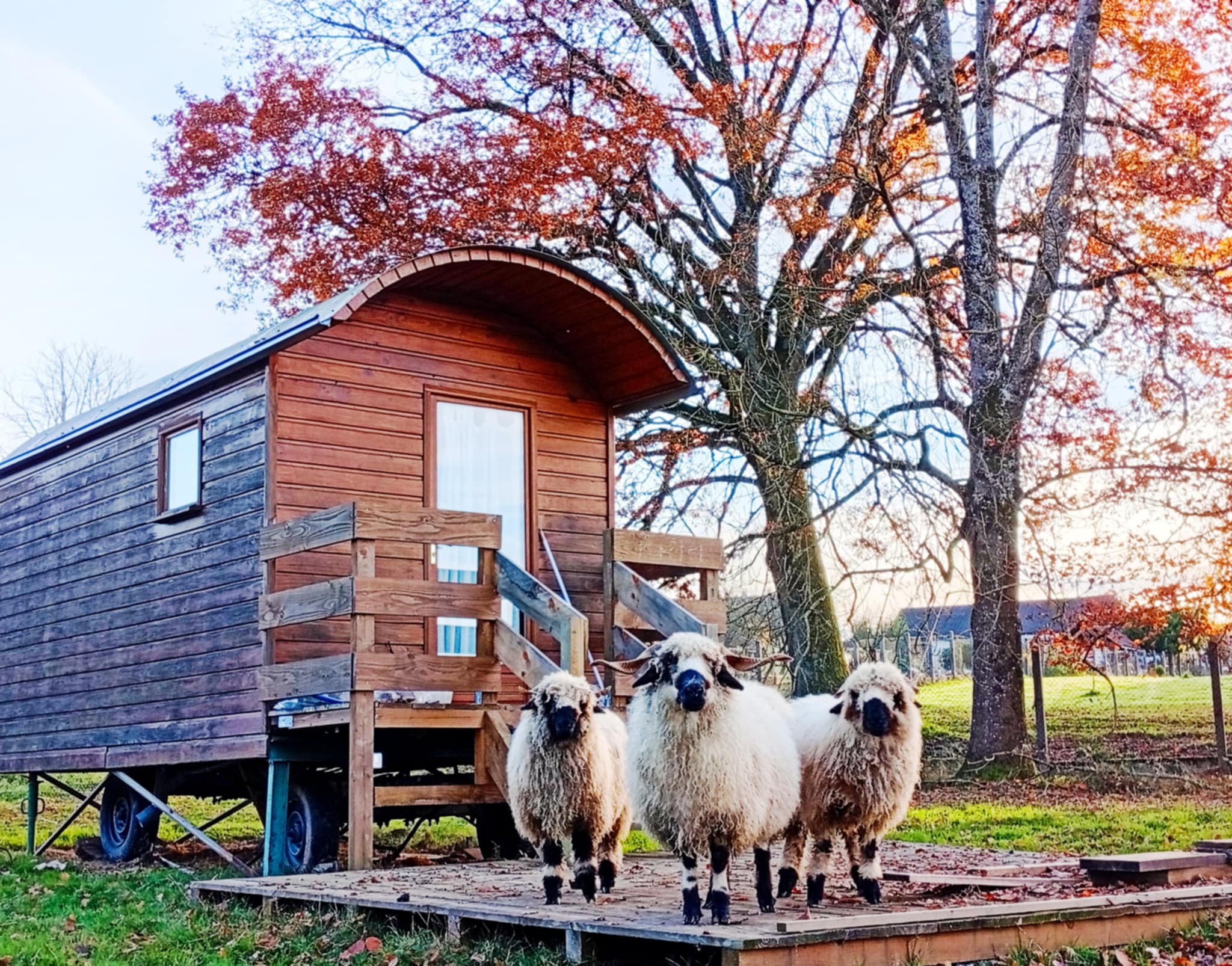 PHOTO-2026-01-23-09-01-32