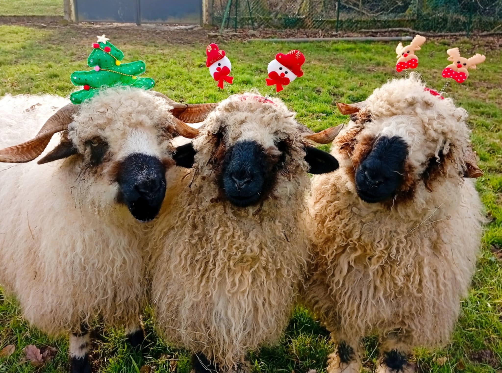 PHOTO-2026-01-23-09-01-33 2