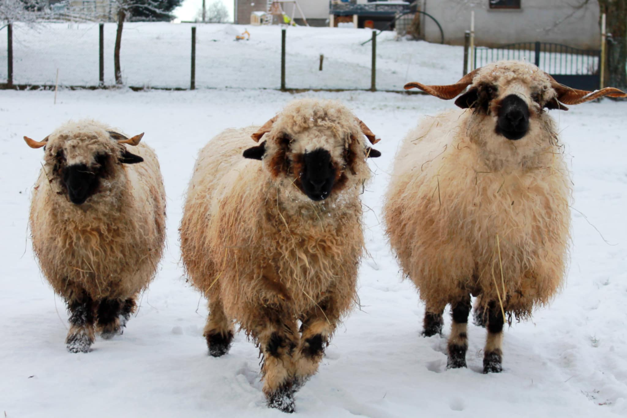 PHOTO-2026-01-23-09-01-34 2