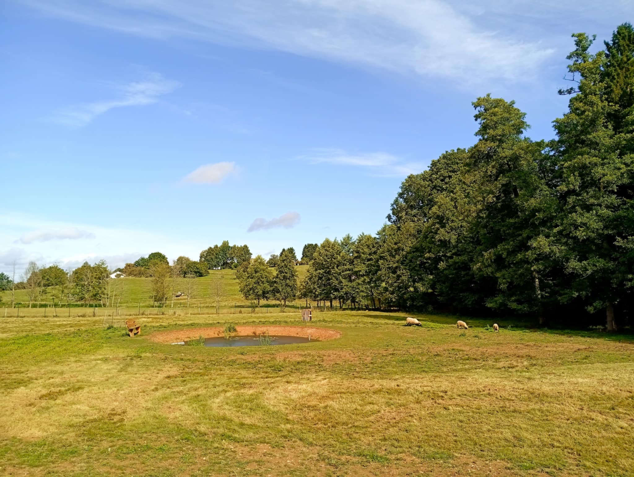 Photo 2 de La Roulotte des Prés